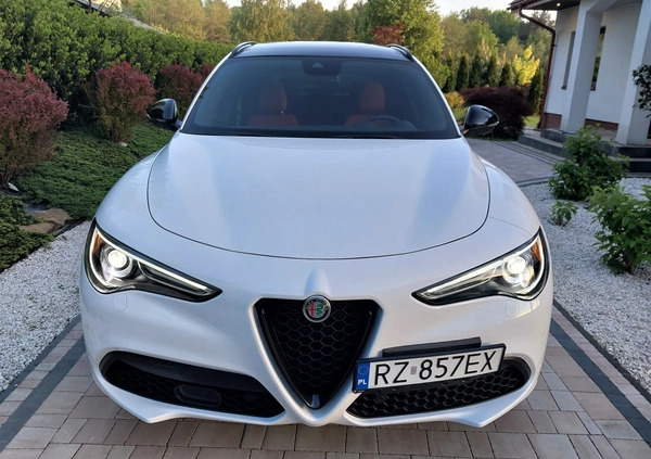 Alfa Romeo Stelvio cena 189000 przebieg: 11000, rok produkcji 2023 z Rzeszów małe 667